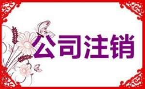 合肥公司注销不及时，有可能产生哪些影响