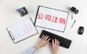 在合肥公司标准注销的流程会是怎样的