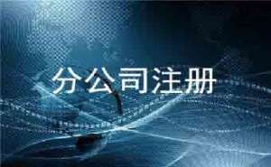在合肥注册分公司的流程是怎样的