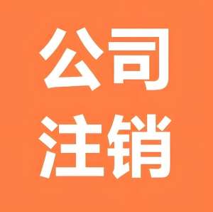 在合肥注销公司需要符合哪些标准?