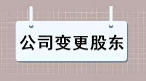 合肥公司变更股东需要哪些审核手续？