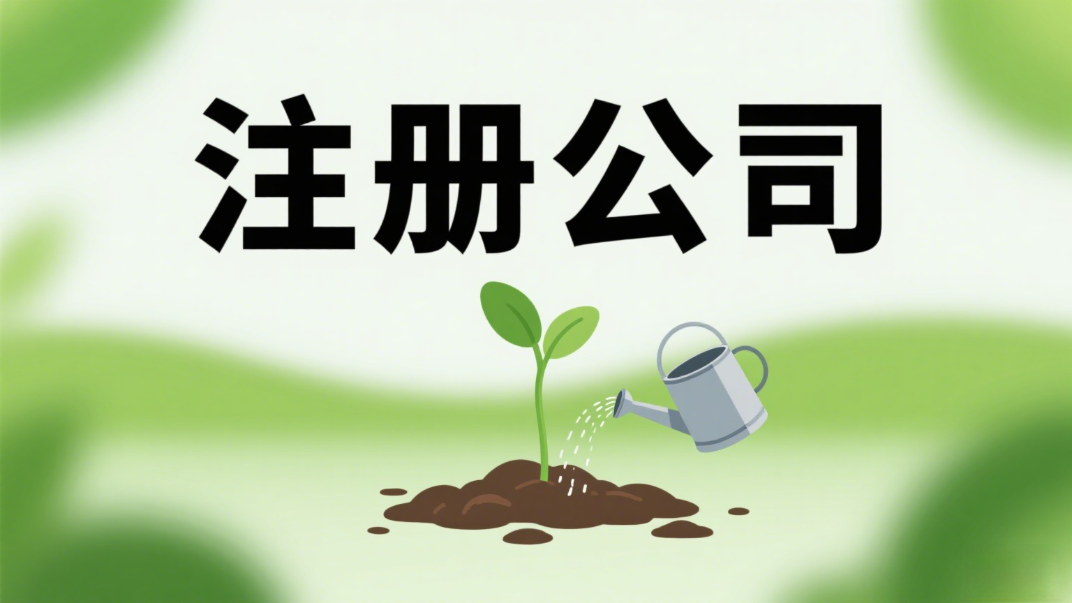 合肥公司注册数量持续攀升，增幅显著