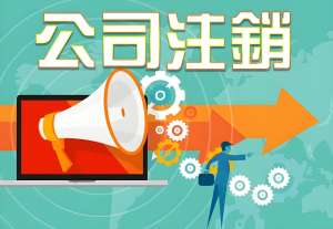 合肥公司注销标准及费用解析