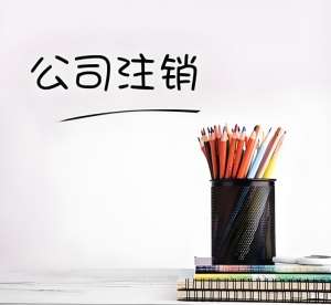 合肥公司注销要求哪些前提条件需明确